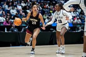 The Inspiring Journey of Amina Hachimura: From Court to Canvas and Beyond amina hachimura